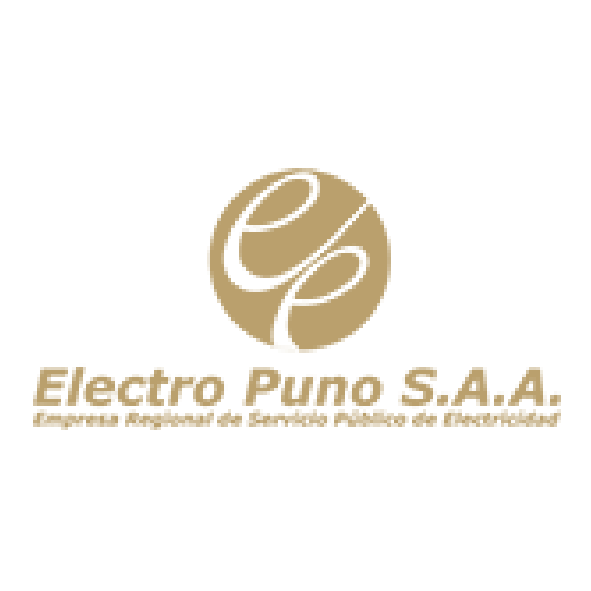 electro puno s.a.a